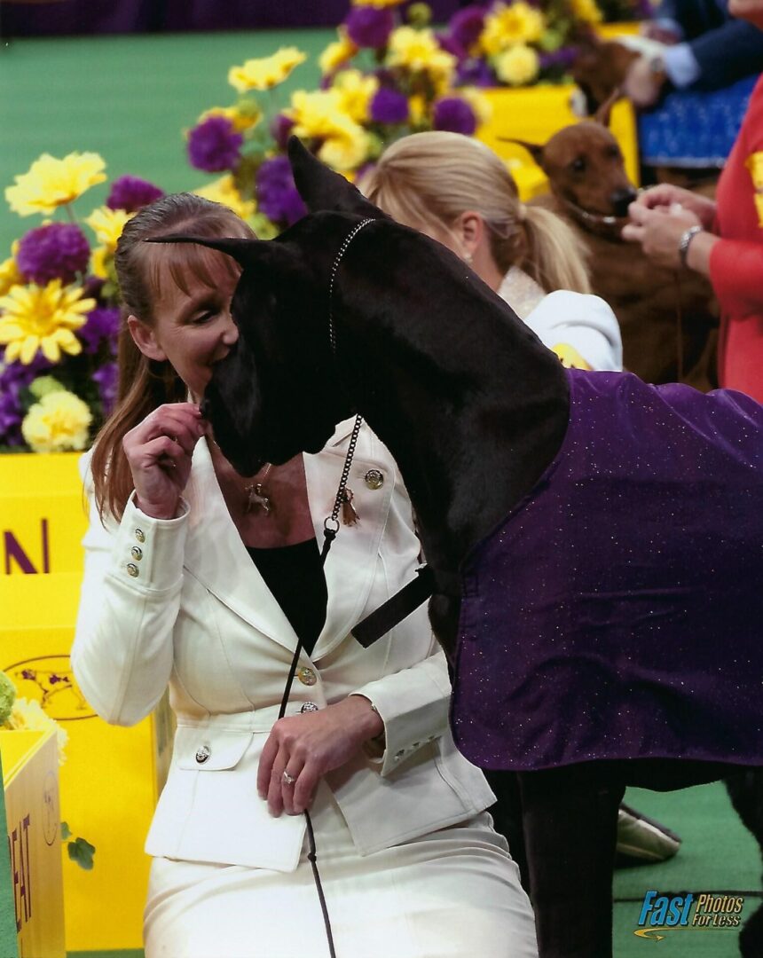 Dog Show Training With Laura